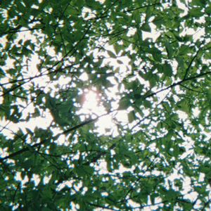 吃女朋友奶头时她奶头变硬了视频
